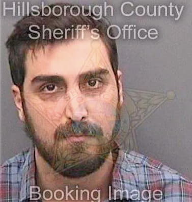 Stavrakis Dominic - Hillsborough County, FL 