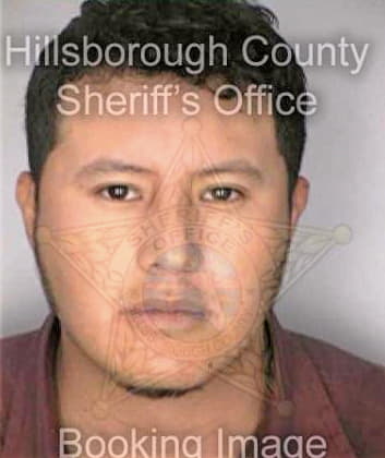 Guevara Juan - Hillsborough County, FL 