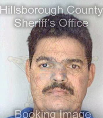 Veloz Luis - Hillsborough County, FL 