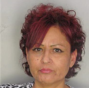 Lopez Ninfa - Hillsborough County, FL 