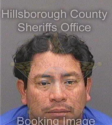 Garcia Maynor - Hillsborough County, FL 