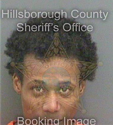 Mcdaniels Michael - Hillsborough County, FL 