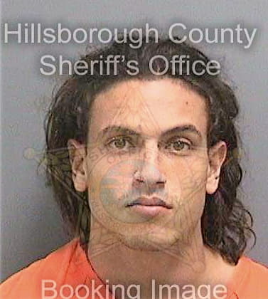 Diaz Eliezer - Hillsborough County, FL 