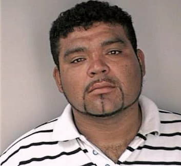 Mendoza Juan - Hillsborough County, FL 