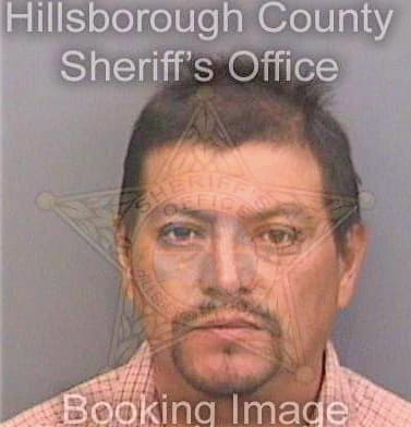 Gonzalezflores Carlos - Hillsborough County, FL 