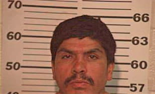 Guevara David - Hidalgo County, TX 