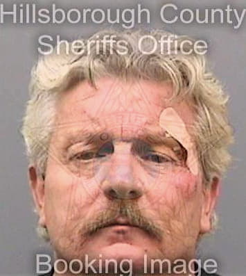 Sasser Johann - Hillsborough County, FL 