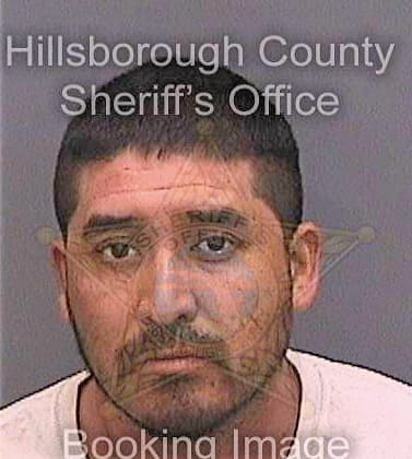 Castandeda-Castro Josue - Hillsborough County, FL 