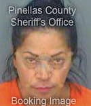 Villanueva Sandra - Pinellas County, FL 