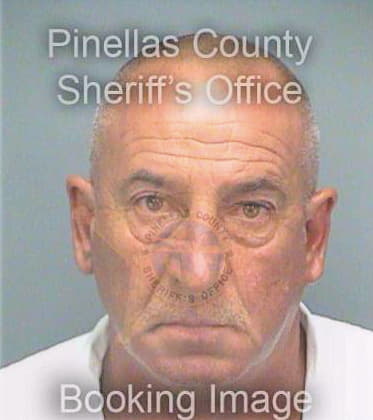 Stoikov Krassimir - Pinellas County, FL 