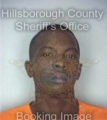 Mcmillian Mario - Hillsborough County, FL 