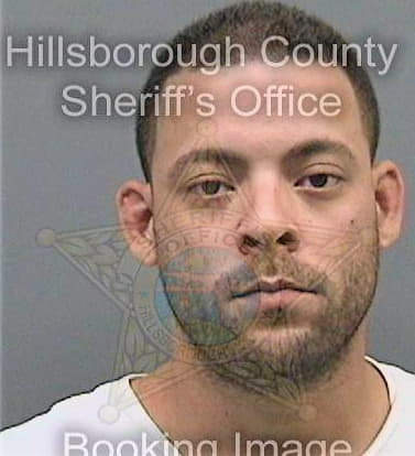 Oterocastro Wilfred - Hillsborough County, FL 