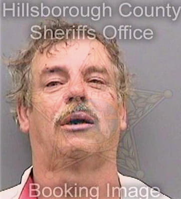 Hughes Dennis - Hillsborough County, FL 