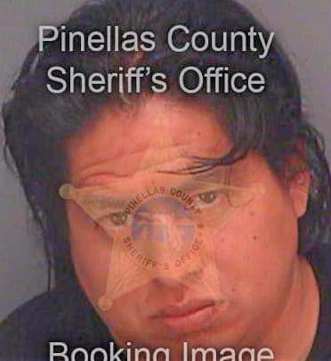 Gonzalez Irving - Pinellas County, FL 