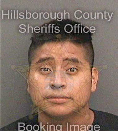 Lopezlopez Jorge - Hillsborough County, FL 