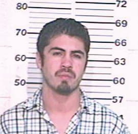 Martinez Enrique - Hidalgo County, TX 