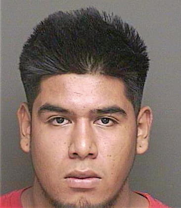 Hernandez Julio - Lake County, FL 