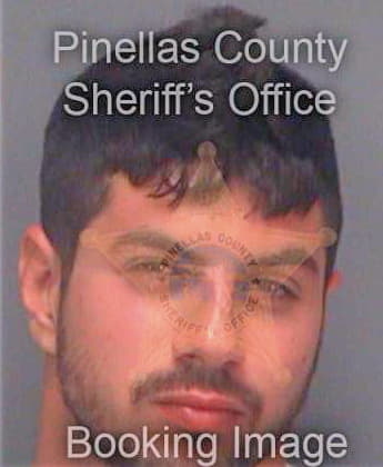 Hinn Joshua - Pinellas County, FL 