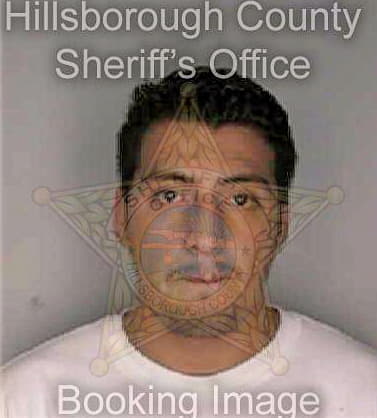 Bonilla Wilson - Hillsborough County, FL 