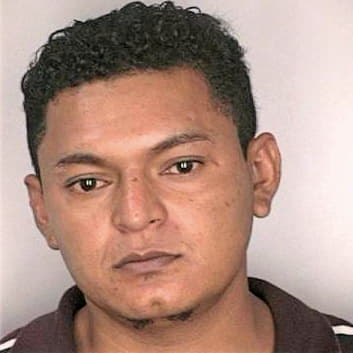 Borjas Jose - Hillsborough County, FL 