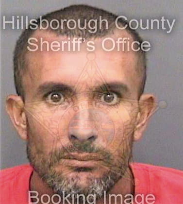 Soto Luis - Hillsborough County, FL 