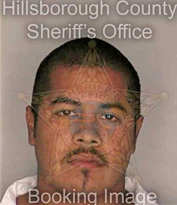 Sierra Alberto - Hillsborough County, FL 
