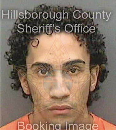 Colondiaz Luis - Hillsborough County, FL 