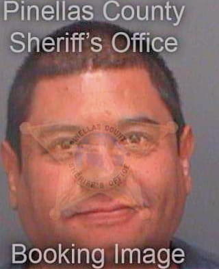 Garcia German - Pinellas County, FL 