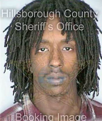 Lewis Hashec - Hillsborough County, FL 