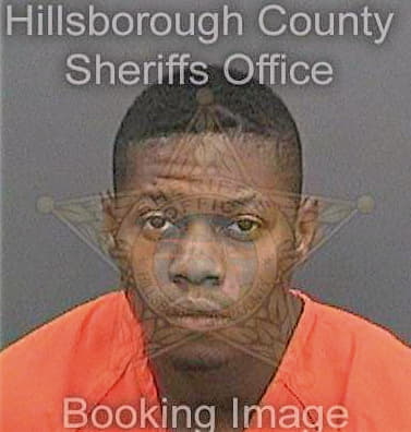 Barley Diallo - Hillsborough County, FL 