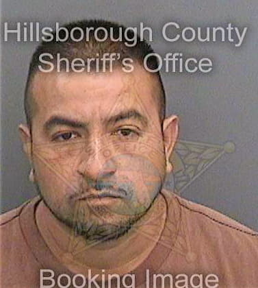 Medina Alvaro - Hillsborough County, FL 