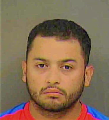 Rodriguez-Rivera Alejandro - Mecklenburg County, NC 