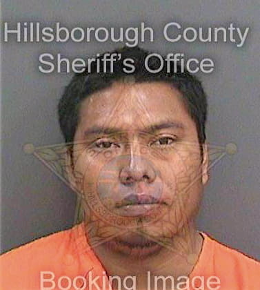 Gonzalezshilon Mariano - Hillsborough County, FL 