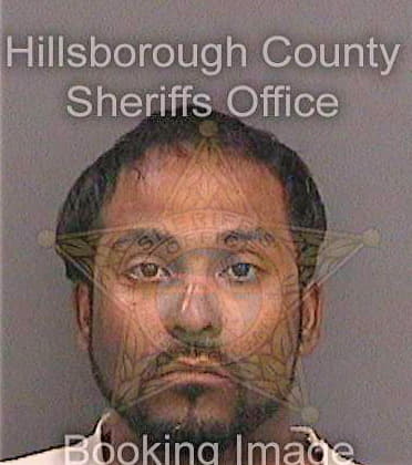 Sanchezrodriguez Moises - Hillsborough County, FL 