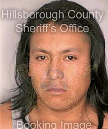 Perez Hermenerildo - Hillsborough County, FL 