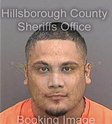 Manriquez Miguel - Hillsborough County, FL 