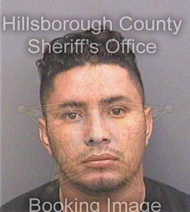 Velazquez-Garrido Omer - Hillsborough County, FL 