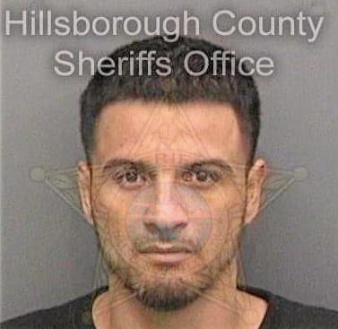 Velezvelez Wilson - Hillsborough County, FL 