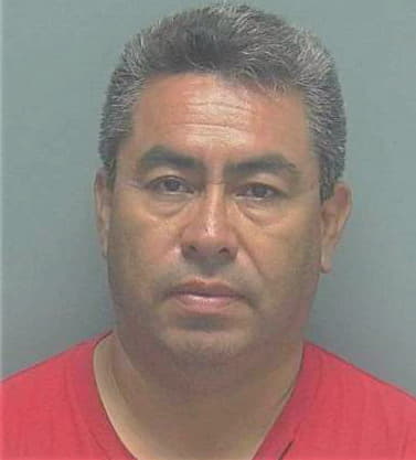 Benavidez Daniel - Lee County, FL 