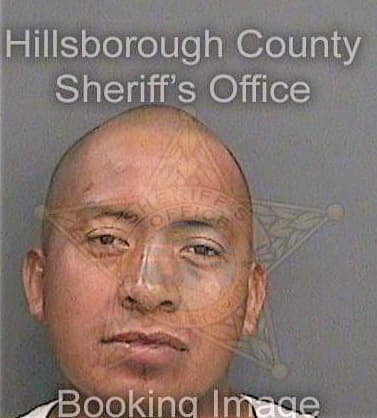 Linares Raul - Hillsborough County, FL 