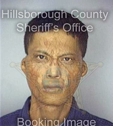 Pham Anton - Hillsborough County, FL 