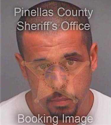 Davis James - Pinellas County, FL 