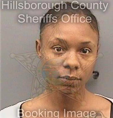 Mccauley Dionne - Hillsborough County, FL 