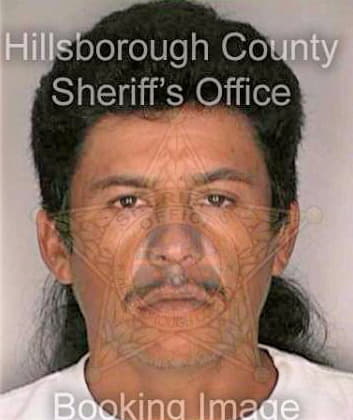 Nicolas Avalos - Hillsborough County, FL 