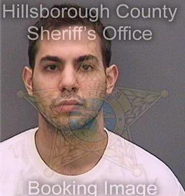 Lopezguinand Juan - Hillsborough County, FL 