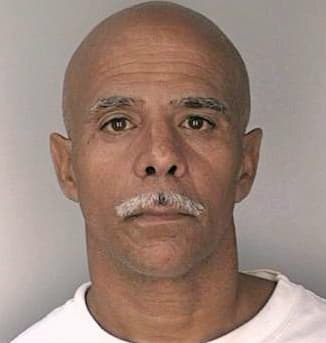 Hernandez Vincent - Hillsborough County, FL 