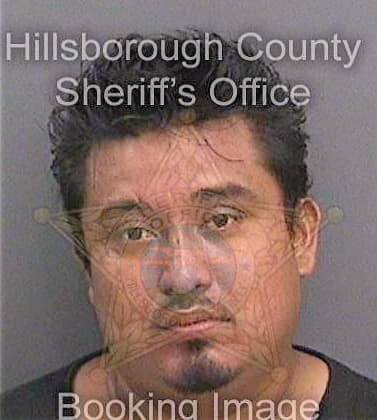 Hernandeztorres Luis - Hillsborough County, FL 