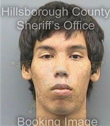 Meza Abraham - Hillsborough County, FL 