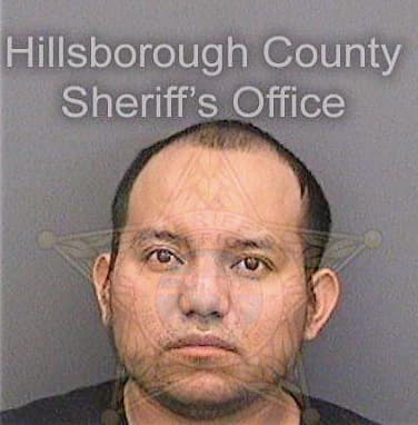 Hernandezhernandez Cesar - Hillsborough County, FL 