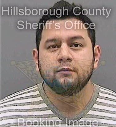 Guevara Raymond - Hillsborough County, FL 